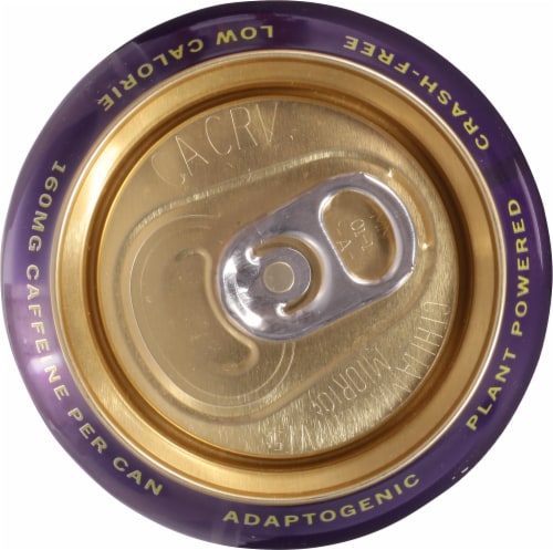 Yerba Maté Vida Maté Blackberry Lemonade Energy Drink Can Perspective: top