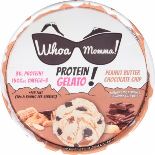 Whoa Momma! Peanut Butter Chocolate Chip Protein Gelato Perspective: top