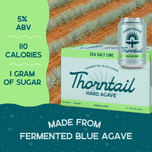 Thorntail Sea Salt Lime Hard Agave Perspective: top