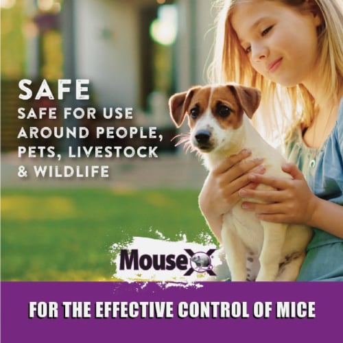 MouseX™ Rodent Control Pellets Perspective: top