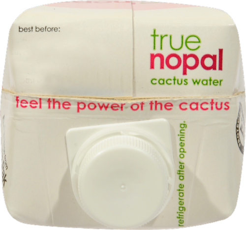 True Nopal Cactus Bottled Water Perspective: top