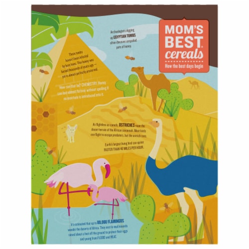 Mom's Best® Honey Grahams Cereal Perspective: top