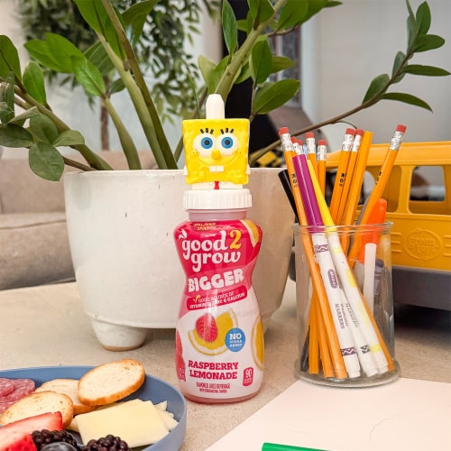 good2grow® Assorted Raspberry Lemonade Flavored Juice Beverage Perspective: top