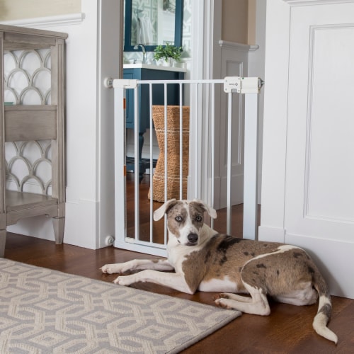 Safety 1st Easy Install Walk Through Gate Perspective: top