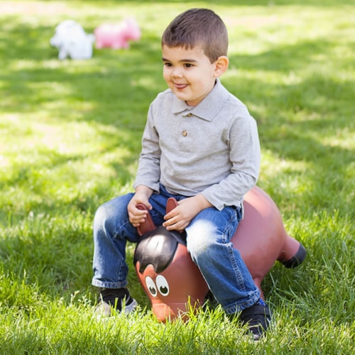 Farm Hoppers Inflatable Bouncing Brown Horse 1 Jay C Food Stores