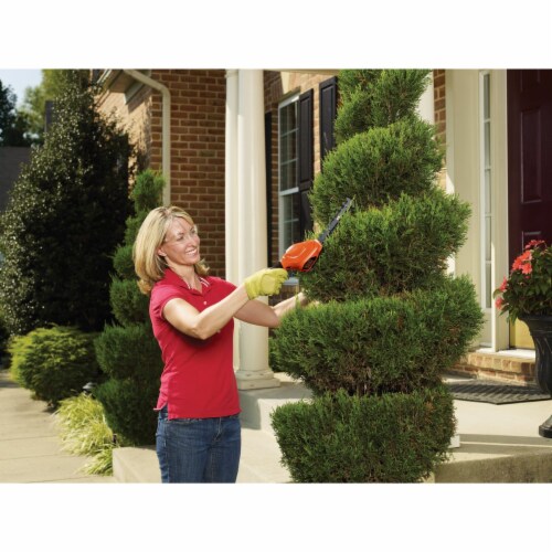 Black and decker cordless shrubber clearance