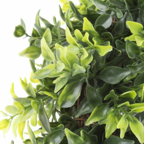 Artificial Opal Basil Leaf 11.5 inch Round Wreath by Pure Garden Perspective: top