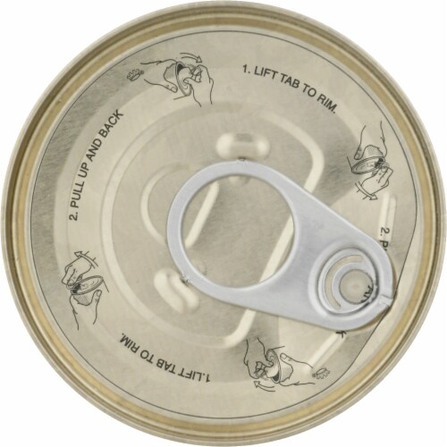 Reveal Ocean Fish Wet Cat Food Perspective: top