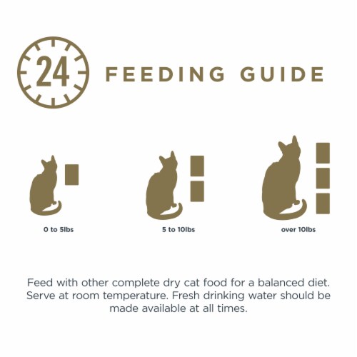Reveal Grain Free Tuna Fillet with Salmon Cat Food Perspective: top