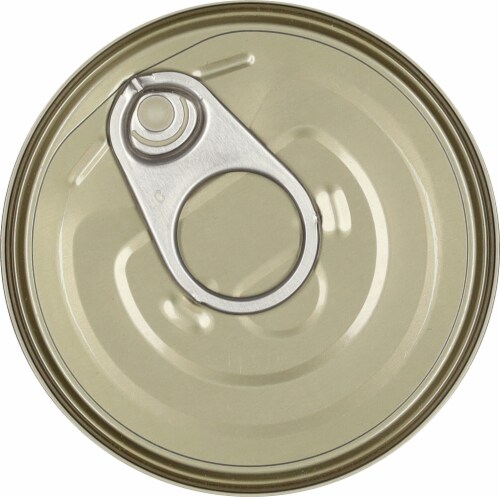 Reveal Grain Free Tuna Fillet With Salmon Wet Cat Food Perspective: top