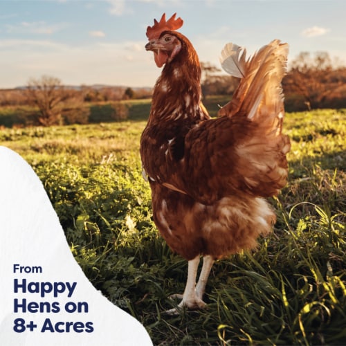 Happy Egg Co® Free Range Large Brown Vitamin+ Eggs Perspective: top