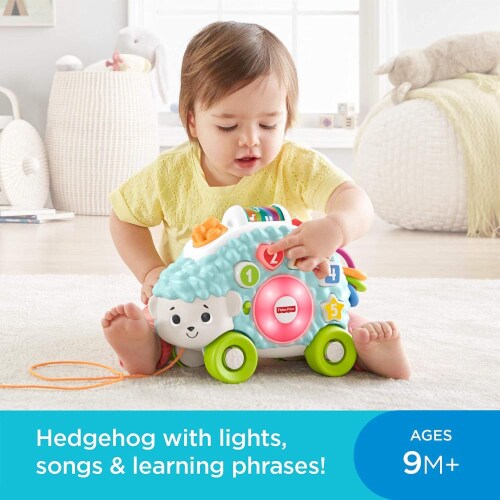 Fisher-Price® Linkimals Happy Shapes Hedgehog™, 1 ct - City Market