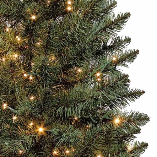 Holiday Home Beaufort Fir Potted Tree with Color Changing Cluster LED Lights Perspective: top