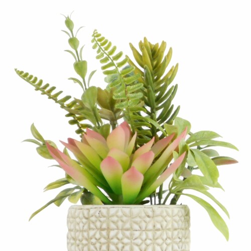 HD Designs Succulent/Agave In Ceramic Pot Perspective: top