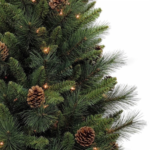 Holiday Home Bergen Pine Potted Tree with Clear Lights Perspective: top