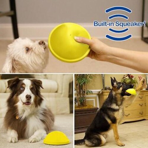 Indoor gliding squeaky dog deals toy