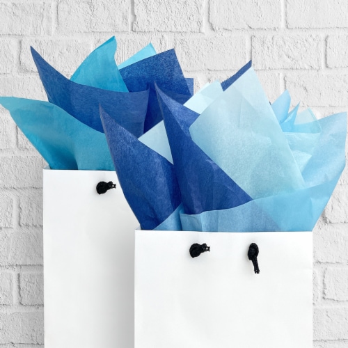 Wrapables Tissue Paper 20 x 28 Inch for Gift Wrapping (60 Sheets), Blue, 60  Sheets - Ralphs