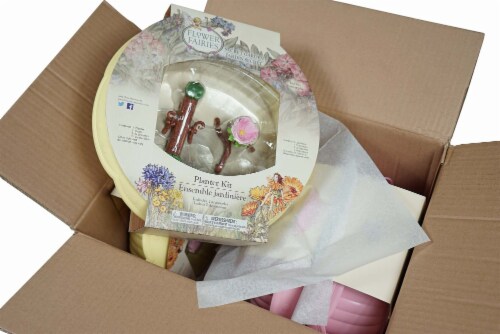Flower Fairies Mixed Case Planter Kits For Garden, Bulk (Pack of 4) Perspective: top
