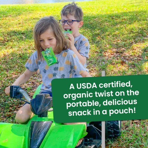 GoGo squeeZ Organic Applesauce Pouches Perspective: top