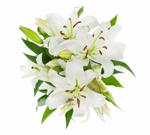 White Lily Combo 5 Stems Perspective: top
