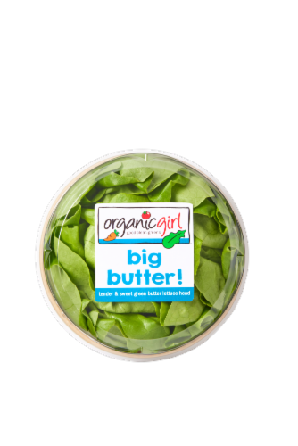 OrganicGirl Big Butter Lettuce Head Perspective: top