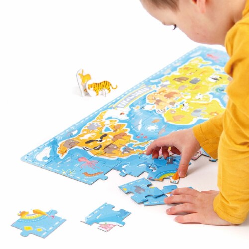 What in the World.  Animals Around the Globe Perspective: top