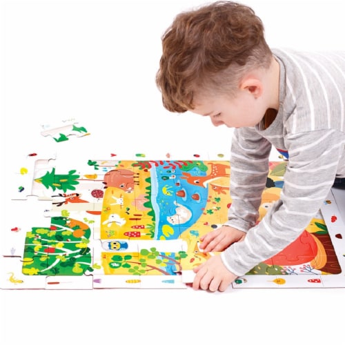 Observation Puzzle Forest Perspective: top