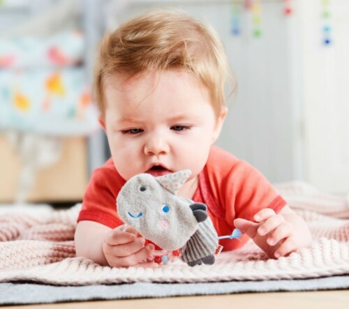 Rhino Fabric Clutching Toy with Removable Plastic Teething Ring Perspective: top