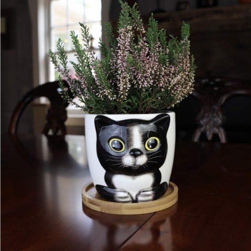 Window Garden Large Oreo Cat Planter for Indoor Plants & Flowers Perspective: top