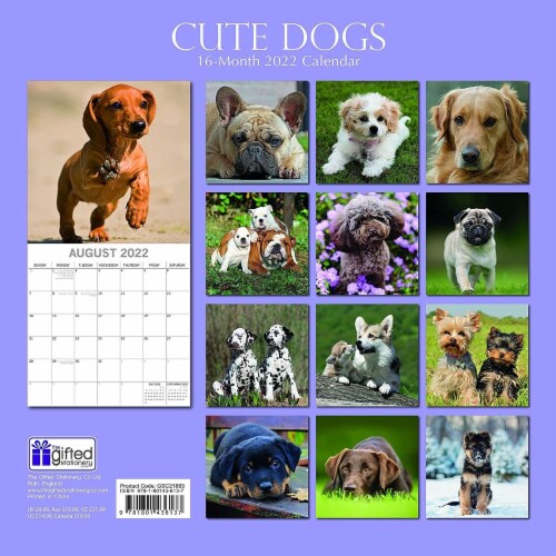 16Month 2022 Cute Puppy Calendar with 180 Reminder Stickers (12 x 12