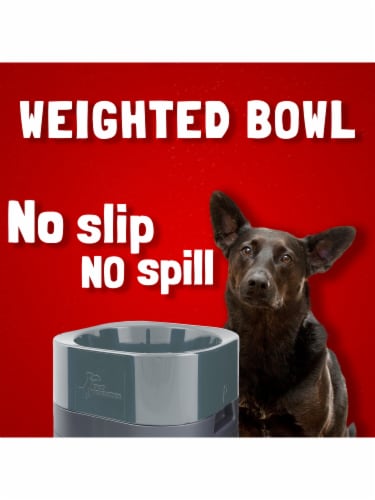 Pet Weighter Elevated Raised Weighted No-Spill Non-Slip Fillable Easy-Clean Large  Dog Bowl, 1 - Gerbes Super Markets