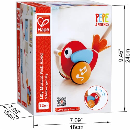 Hape Walk A Long Bird Wooden Push Pull Toy with Detachable Stick Ages 1 and Up 1 Piece Food 4 Less