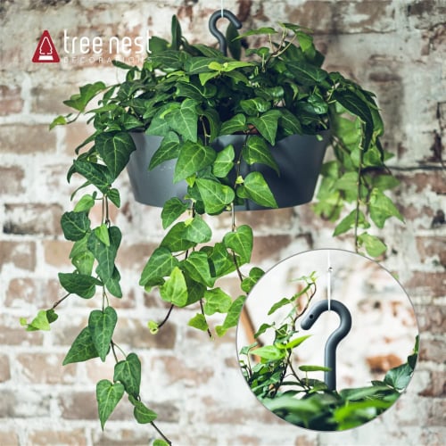 Tree Nest Sunny Round Hanging Planter 12 Inch, Dark Gray Perspective: top