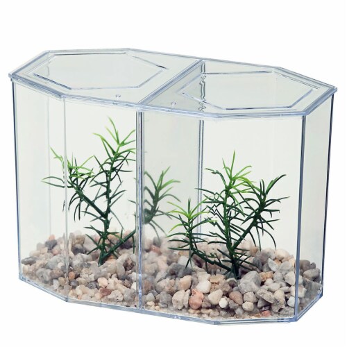 1 Dual Betta Hex Kit Tank Pet Aquatic Fishes Aquarium Habitat Office Home Decor Perspective: top
