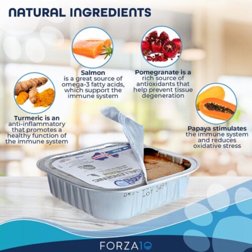 Hypoallergenic canned deals cat food
