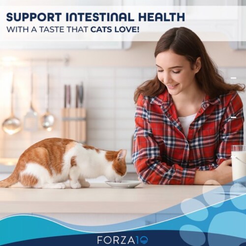 FORZA 10 Active-Wet CAT INTESTINAL Fish 3.5 Oz. Pack of 32 FORZA 10 Active-Wet CAT INTESTINAL Fish 3.5 Oz. Pack of 32