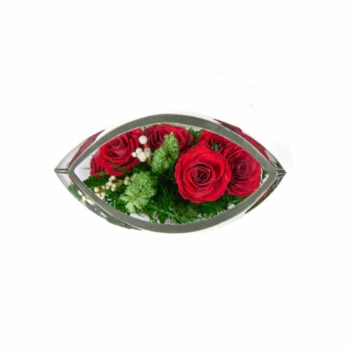 Fiora Flower Long-Lasting Red Roses in a Sealed Glass Vase Perspective: top