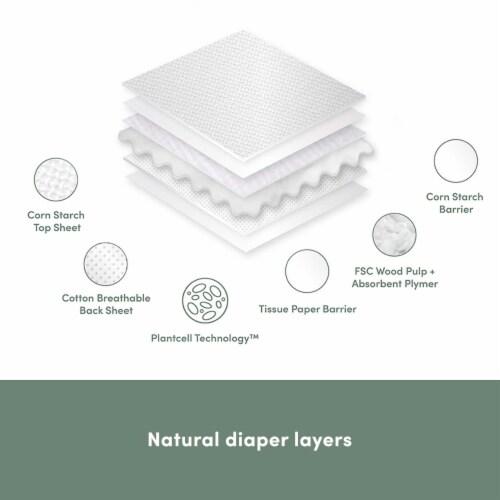 Ecoriginals Plant Based Potty Training Pants | Crawler Size 3 | 6 Packs, 132 Count Perspective: top