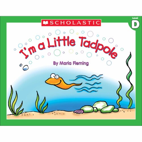 Scholastic Little Leveled Readers Level D Box Set Perspective: top