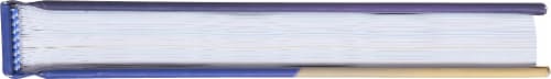 Dog Man Twenty Thousand Fleas Under the Sea Book Perspective: top