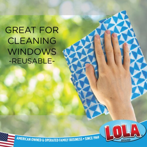 LOLA Anti-Microbial Clean N' Wipe Cloth, Comparable To Clorox Handi Wipes - 6 CT Perspective: top