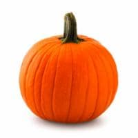 Mini Pumpkins (Up to 1 lb) Perspective: back