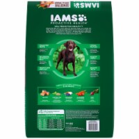 IAMS ProActive Health Grain Free Sensitive Skin Stomach with Real Salmon Lentils Adult Dog Food 10.3 lb QFC