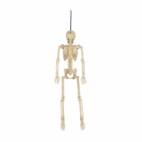 Holiday Home 15.5" Hanging Skeleton Halloween Decor