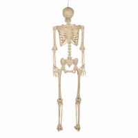 Holiday Home Pose N Stay 60" White Skeleton Halloween Decor