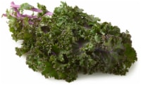 Purple Flowering Kale