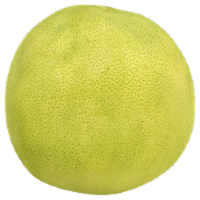 Pummelo Grapefruit