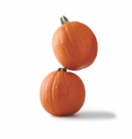 Fresh Grown Pie Pumpkins - Each