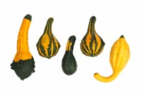 Ornamental Gourds
