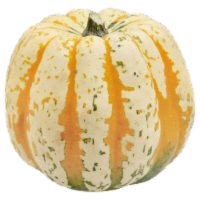Squash Carnival